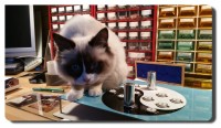 Support lampes et inspection.